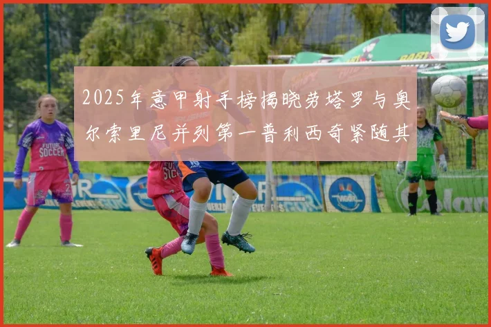 2025年意甲射手榜揭晓劳塔罗与奥尔索里尼并列第一普利西奇紧随其后