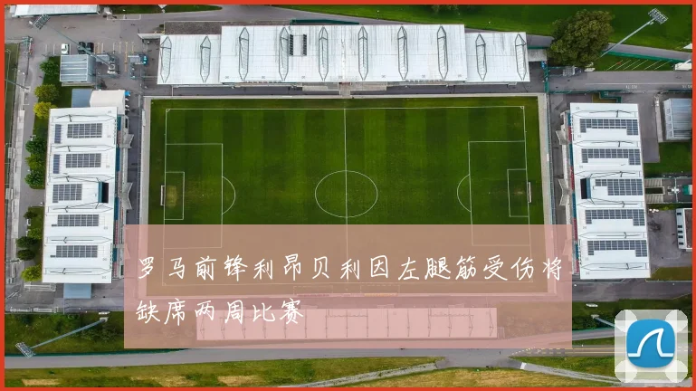 罗马前锋利昂贝利因左腿筋受伤将缺席两周比赛