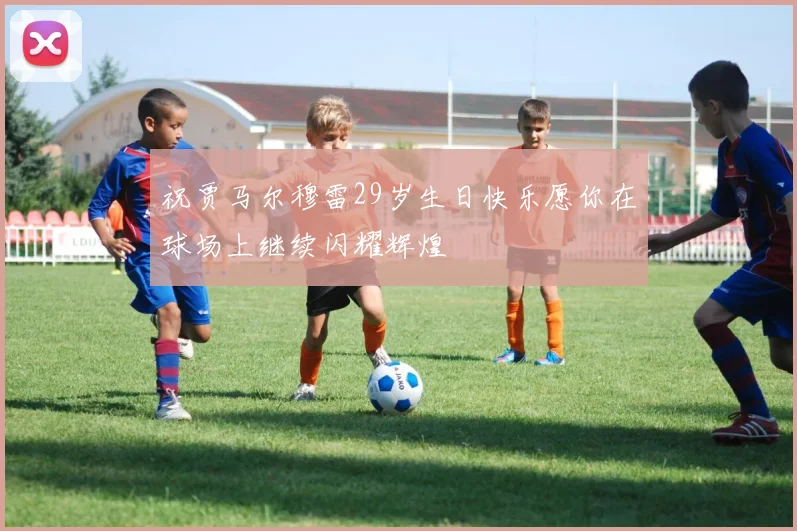 祝贾马尔穆雷29岁生日快乐愿你在球场上继续闪耀辉煌