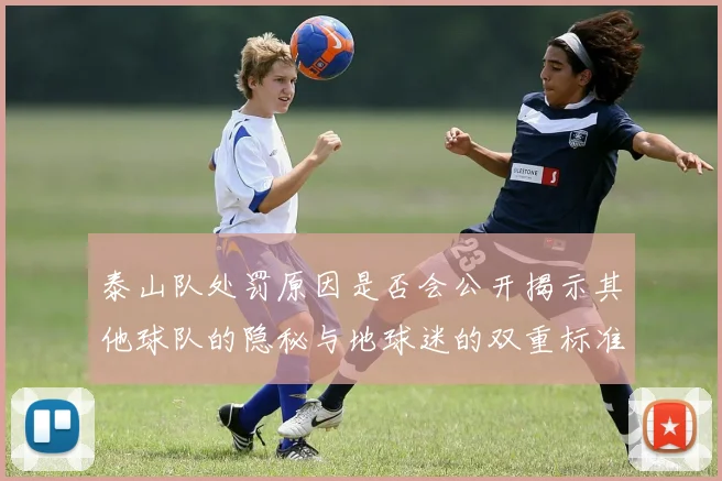 泰山队处罚原因是否会公开揭示其他球队的隐秘与地球迷的双重标准