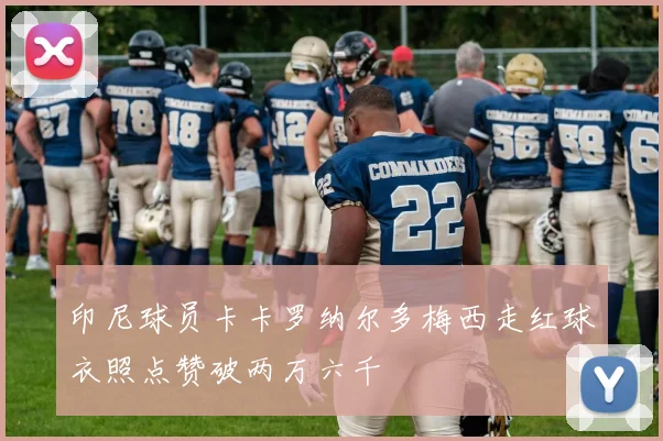 印尼球员卡卡罗纳尔多梅西走红球衣照点赞破两万六千