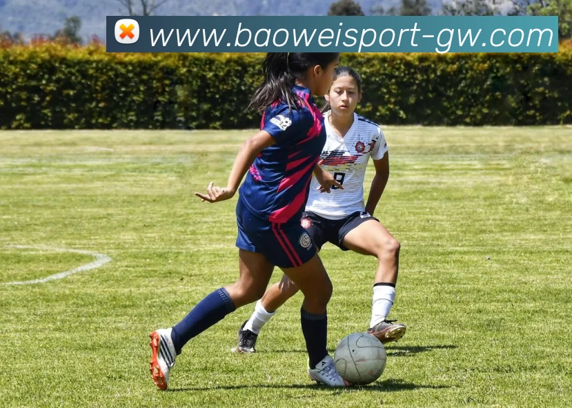 宝威体育APP 体育赛事宣传图